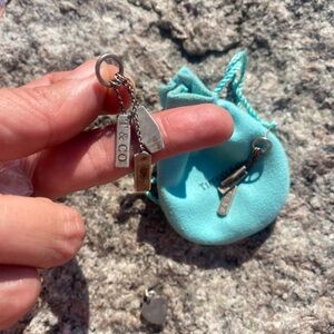 Tiffany & Co. Dual-Tone Dangle Earrings